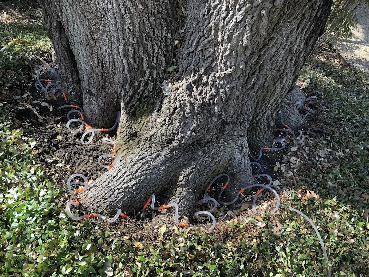 Detailed Shrub and Hedge Trimming job site in Vinton
