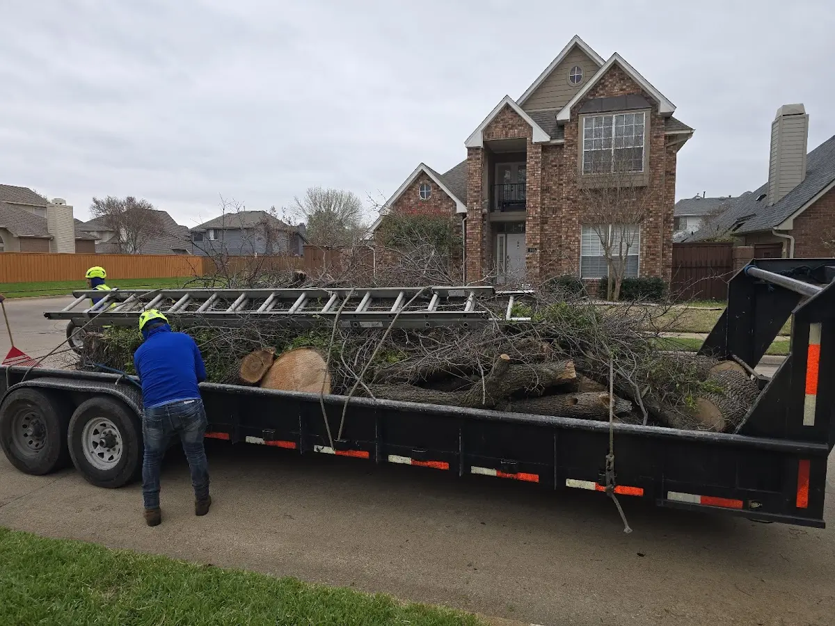 Expert Crown Reduction with proper safety equipment in Vinton